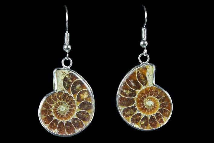 Fossil Ammonite Earrings - Million Years Old #152007